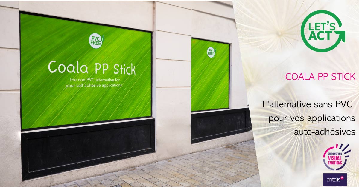 Coala_PP_Stick_fr_OPT.jpg