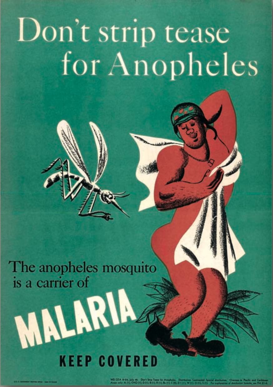 WWII Malaria educational poster @USNatArchives.jpg