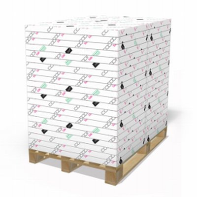 Papier couché Cocoon SILK Blanc 130 g/m²  650 mm x 920 mm enramé