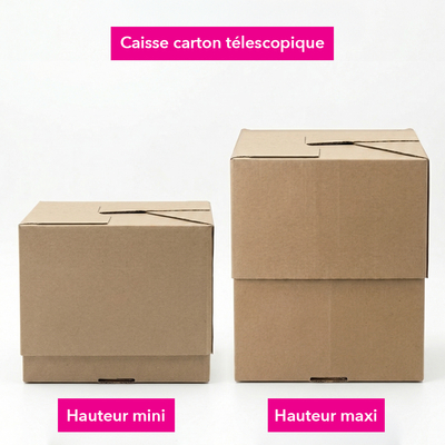 Caisse carton télescopique