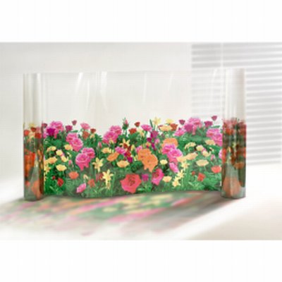 Film fleurs Roses
