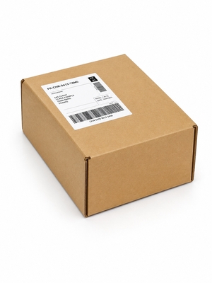 Boite postale carton brune à fermeture renforcée fermée