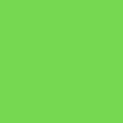 Avery Denisson 5500 - 5565 Lime Green