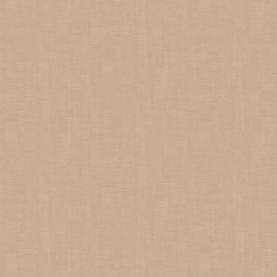 Film de Décoration 3M DINOC WG247