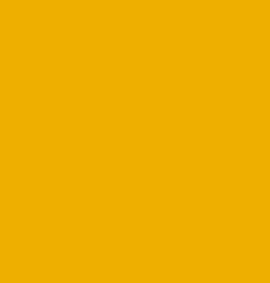 Avery Denisson 5500 - 5510-01 Golden Yellow
