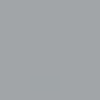Avery Denisson 5500 - 5590 Silver Metallic