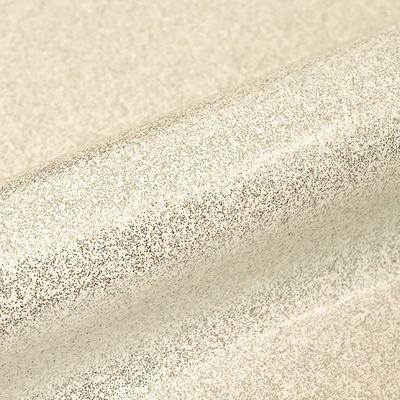 Siser, Sparkle, irisé, polyuréthane, SK0001 - snowstorm white, 120µm, 500mm x 25.00m, hotmelt, Boîte de 1 rouleau, SK0001/0.50