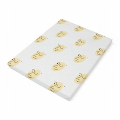 Papier Couché 2U Silk, semi-matt 100 g/m² 650 mm x 920 mm Enramé 250 Feuilles