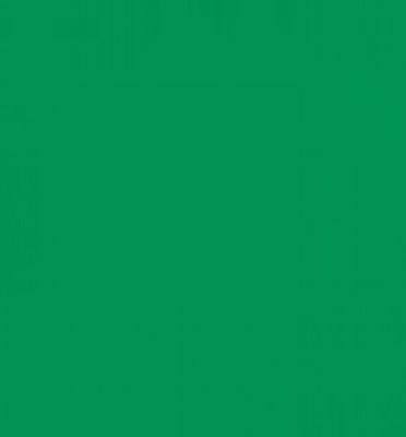 Film adhésif imprimable gravé Aslan CT113 11385 Green