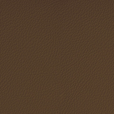 Coala Interior Film Leather Prestige LP 01