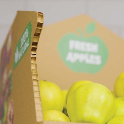 Carton nid d'abeille Coala Air Board 2D Brun épaisseur 16mm 1600 mm x 3000 mm