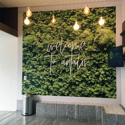Coala Deco Wall S