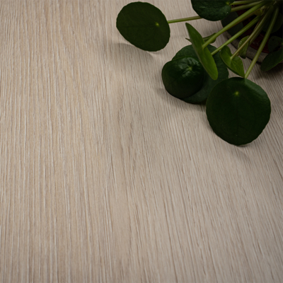 Coala Interior film Wood NH80 - Sand Oak  - effet bois