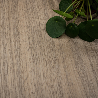 Coala Interior film Wood NH77 - Honey Walnut - effet bois