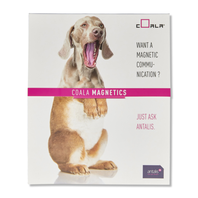 Film polyester magnétique blanc Coala Magnetic PET 635 g/m² 1270 mm x 30 m