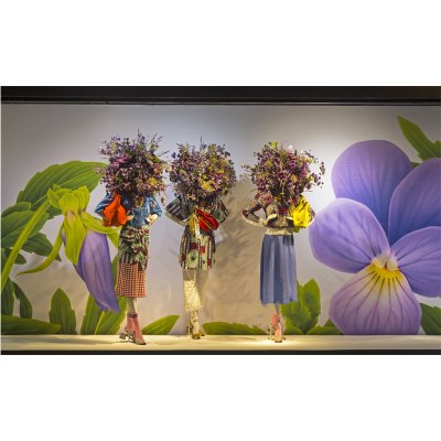 Coala Powergrafix - image of application in shop window