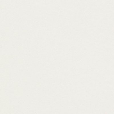 Papier Prestige Conqueror CX22 High White avec filigrane 100g/m² 450 x 640mm Ramette de 500 feuilles
