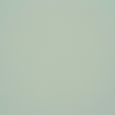Papier Curious Skin Grey 270g/m² 700 mm x 1000 mm Paquet de 100 feuilles