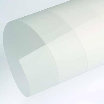 Papier Curious Translucents Clear 100g/m² 720mm x 1020mm Paquet de 250 feuilles