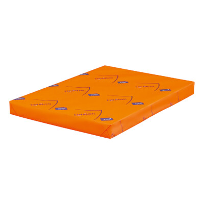 Papier Edixion Offset Blanc 250  g/m²  650 mm x 920 mm Enramé