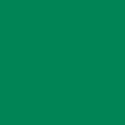 Film de découpe Avery 4500 translucide 4533 vert prairie adhésif permanent 1230 mm x 50 m(4533/1.23)