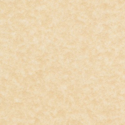 Papier Keaykolour Original Parchment Chamois 170 g/m² 700 mm x 1000 mm Paquet de 125 feuilles