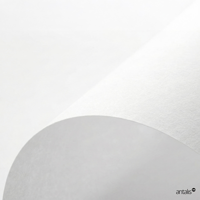 Papier de création vélin Natural Evolution