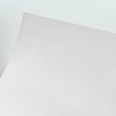 Papier Opale Wove Pure White filigrane 80g/m² 450 mm x 640 mm