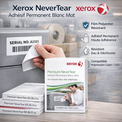 Xerox Premium NeverTear Adhésif Permanent Blanc Mat