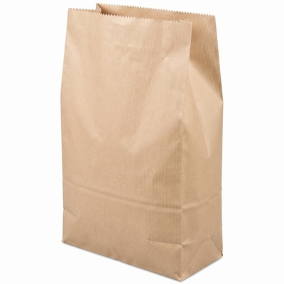 Sac kraft grande capacité