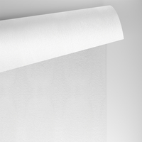 Papier Conqueror Laid Brilliant White 300g/m² 720mm x 1020mm Paquet de 100 feuilles
