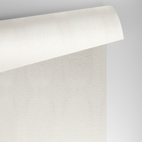 Papier Conqueror Laid Cream avec filigrane 100g/m² 450mm x 640mm Paquet de 500 feuilles