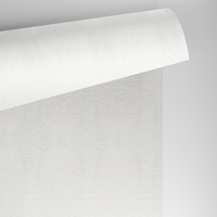 Papier Conqueror Laid High White 300g/m² 720mm x 1020mm Paquet de 100 feuilles