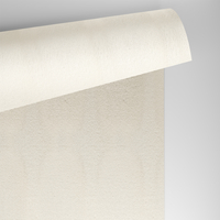 Papier Conqueror Laid Vellum avec filigrane 100g/m² 450mm x 640mm Paquet de 500 feuilles