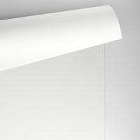 Papier Conqueror Wove Brilliant White avec filigrane 100g/m² 450mm x 640mm Paquet de 500 feuilles