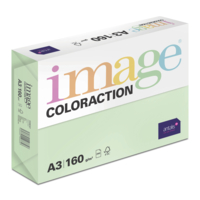Papier Couleur Forest/Vert A3 160 g/m² Image Coloraction