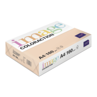 Papier Image Coloraction savana/saumon 160g/m² A4 Carton de 5  paquets