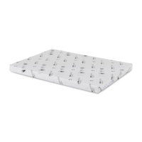 Adhésif extra permanent Blanc Ultrabrillant avec refente Raflatac Castgloss 80 g/m² 500 mm x 700 mm Enramé