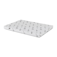 Adhésif extra permanent Blanc avec refente Raflatac Vellum Imprimé 70 g/m² 500 mm x 700 mm Enramé