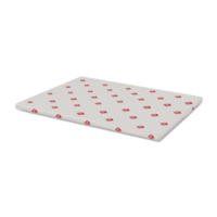 Carton Graphique GZ Upside Premium 1 Face Blanc 350 g/m²  450 mm x 320 mm Paquet de 125 feuilles