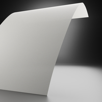 Papier Vélin Conqueror Connoisseur Rag Soft White 300g/m² 720 x 1020mm Paquet de 100 feuilles