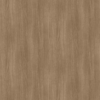 Film de Décoration 3M DINOC WG1838