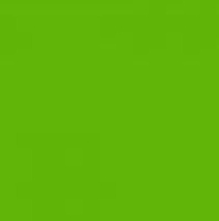 Avery Denisson 5500 - 5562 Yellow Green