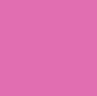 Avery Denisson 5500 - 5531 Tulip Pink
