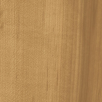 Revêtements décoratifs 3M™ DI-NOC™ Dry Wood, Mate, DW-1873MT, 1220 mm x 50 m