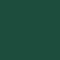 Avery 4500 translucide 4532 vert forÃªt