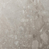 3M Di-Noc Film décoratif d'intérieur AR Série résistante à l'abrasi ST-2171AR 230µm  1220 mm x 25 m 7100320890