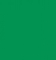 Film adhésif imprimable gravé Aslan CT113 11385 Green