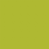 Avery 800 brillant 814-01 vert wasabi adhésif permanent 1230 mm x 50 m(814-01/1.23)
