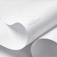 Conqueror CX22 – Papier de création premium blanc naturel